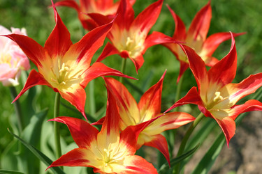 Similar image 1018456