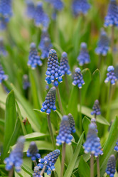 Similar image 1018459