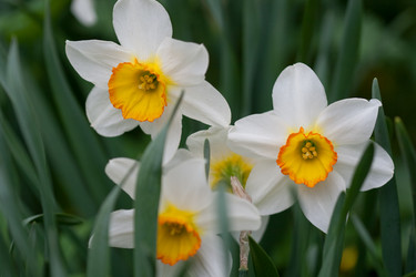 Similar image 1018473