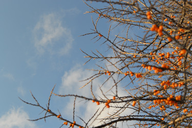 Similar image 1018474