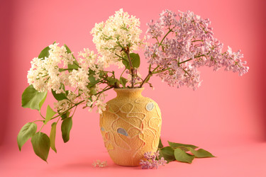 Similar image 1018495