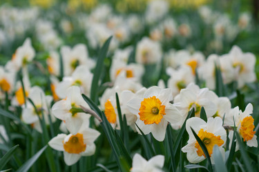 Similar image 1018498