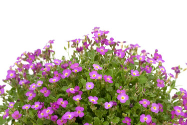 Similar image 1018499