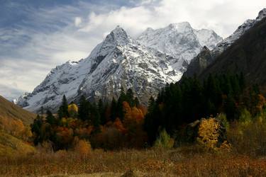 Similar image 1018501