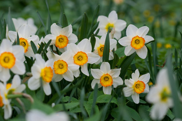 Similar image 1018502