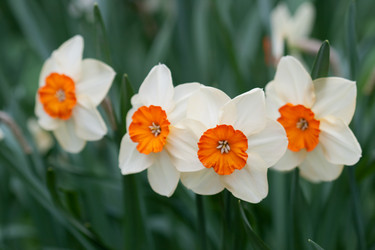 Similar image 1018505