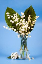 Similar image 1018508