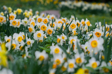 Similar image 1018512