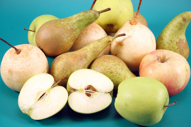 Similar image 1018513