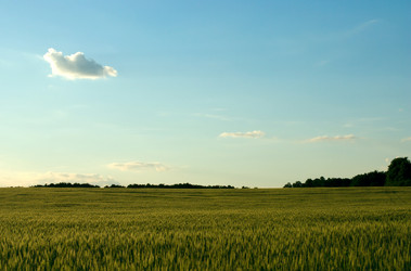 Similar image 1018533