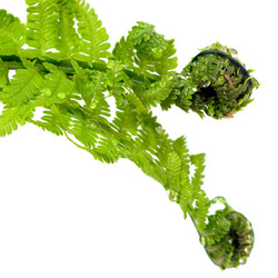 Similar image 1018545