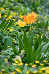 Similar image 1018577