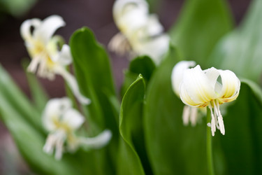 Similar image 1018582