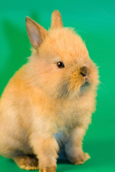 Similar image 1018585