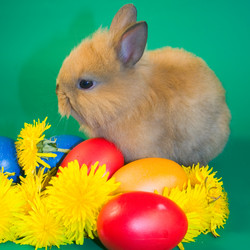 Similar image 1018588