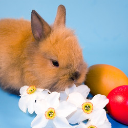 Similar image 1018600