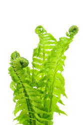 Similar image 1018627