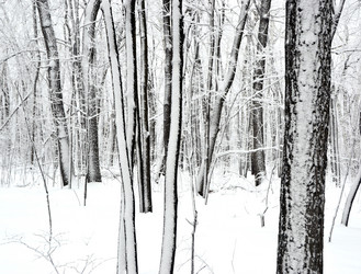 Similar image 1018643