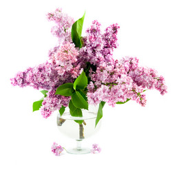 Similar image 1018644