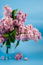 Similar image 1018648