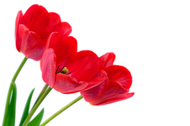 Similar image 1018651