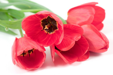 Similar image 1018657