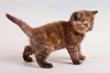 Similar image 1018676