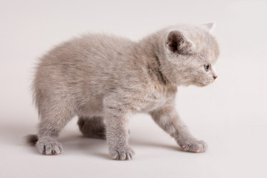 Similar image 1018681