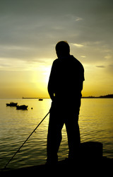 Similar image 1018684