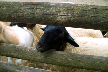 Similar image 1018691