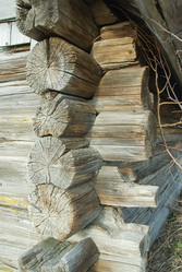 Similar image 1018706