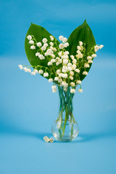 Similar image 1018711