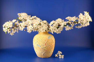 Similar image 1018715