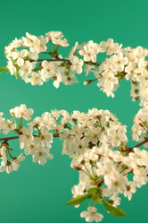 Similar image 1018716