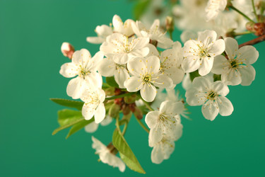 Similar image 1018718