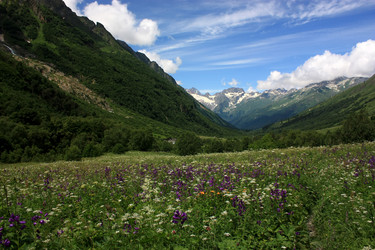 Similar image 1018752