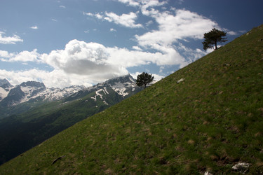 Similar image 1018762