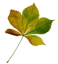 Similar image 1018793