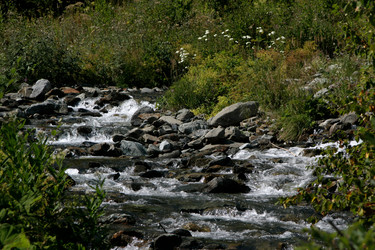 Similar image 1018802