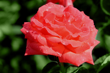 Similar image 1018803