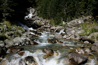 Similar image 1018808