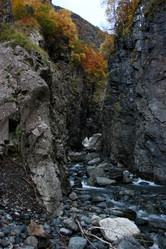 Similar image 1018816