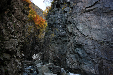 Similar image 1018817