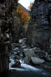 Similar image 1018818