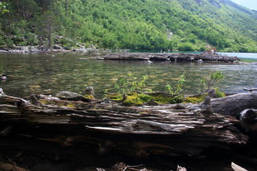 Similar image 1018854