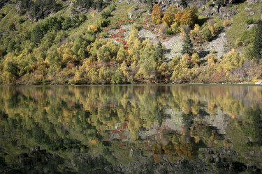 Similar image 1018861