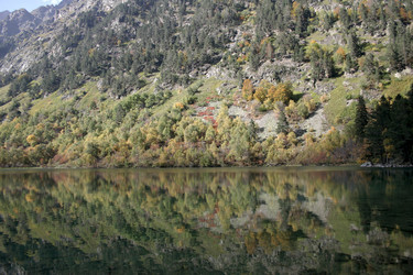 Similar image 1018863