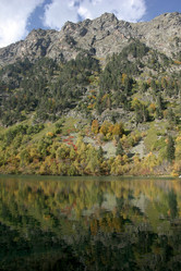 Similar image 1018864