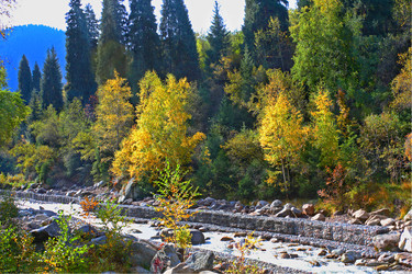 Similar image 1018885