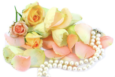 Similar image 1018887